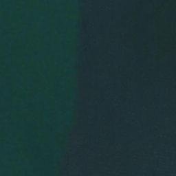 Satellite imagery of Crane Point, US