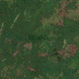 Satellite imagery of The Tolt, CA