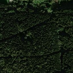 Satellite imagery of Lupfen, DE