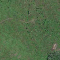 Satellite imagery of Miller Peninsula, US