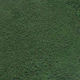Satellite imagery of Finger Point, CA