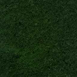 Satellite imagery of survey_point, SK