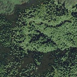 Satellite imagery of Calawah Ridge, US