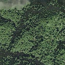 Satellite imagery of Calawah Ridge, US