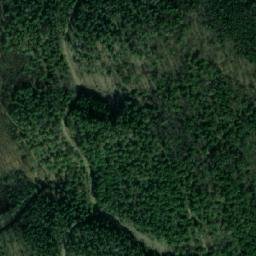 Satellite imagery of Badner Lindkogel, AT