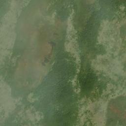 Satellite imagery of Adams Lookout, CA