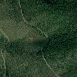 Satellite imagery of Badner Lindkogel, AT