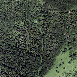Satellite imagery of Wendlgupf, AT
