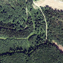 Satellite imagery of Wendelgupf, AT