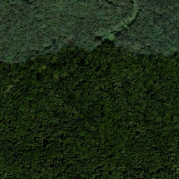 Satellite imagery of survey_point, AT