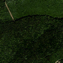 Satellite imagery of survey_point, AT