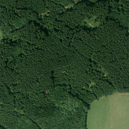 Satellite imagery of Wolfesberg, DE