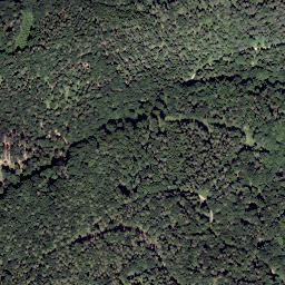 Satellite imagery of Gemeindealpe, AT