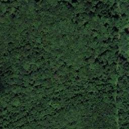 Satellite imagery of Vorder Waldriegel, AT