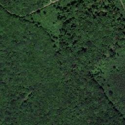 Satellite imagery of Vorder Waldriegel, AT