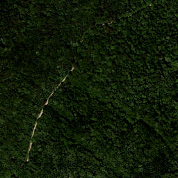Satellite imagery of Altenberg, AT