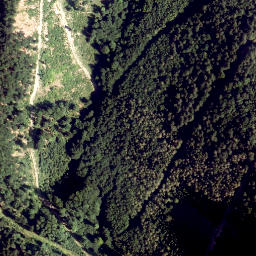 Satellite imagery of survey_point, AT