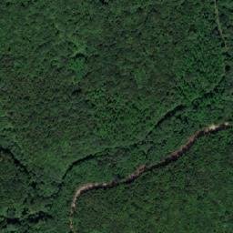 Satellite imagery of Vorder Waldriegel, AT