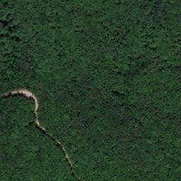 Satellite imagery of Vorder Waldriegel, AT