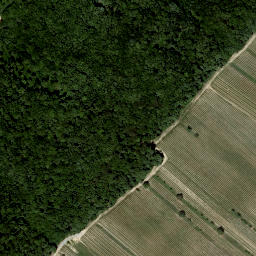 Satellite imagery of Altenberg, AT