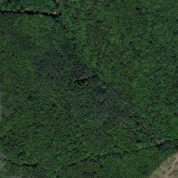 Satellite imagery of Vorder Waldriegel, AT