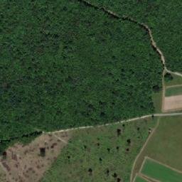 Satellite imagery of Vorder Waldriegel, AT