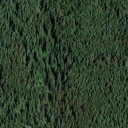 Satellite imagery of Old Trail Point, US