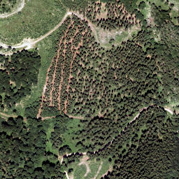 Satellite imagery of Reisalpe, AT