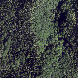 Satellite imagery of survey_point, AT