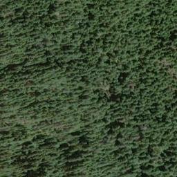 Satellite imagery of Deer Ridge, US