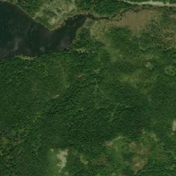 Satellite imagery of Witch Hazel Hill, CA