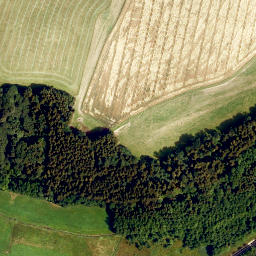 Satellite imagery of Eichberg, DE