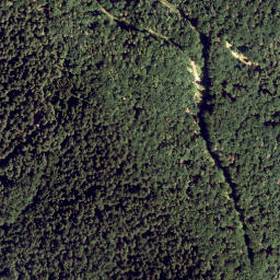 Satellite imagery of Trafel Berg, AT