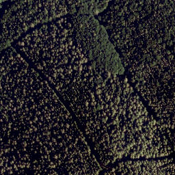 Satellite imagery of survey_point, AT