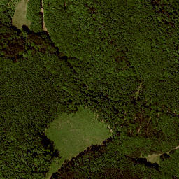 Satellite imagery of survey_point, AT