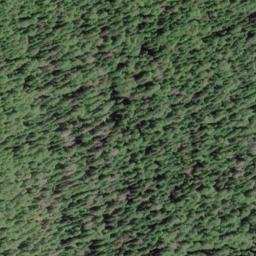 Satellite imagery of Low Divide, US