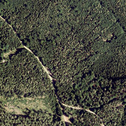 Satellite imagery of Trafel Berg, AT