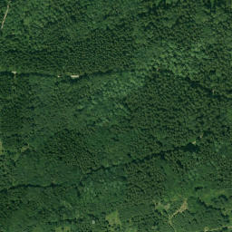 Satellite imagery of Pfaffenbühl, DE