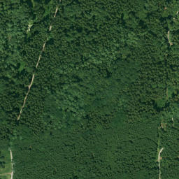 Satellite imagery of Pfaffenbühl, DE