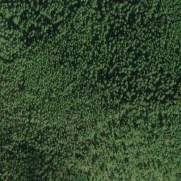 Satellite imagery of Silver Leaf Mine, US