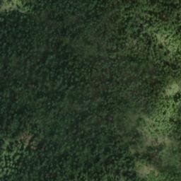 Satellite imagery of Silver Leaf Mine, US