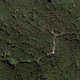 Satellite imagery of Haunsberg, AT