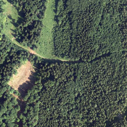 Satellite imagery of Schwarzenberg, AT