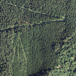 Satellite imagery of Schwarzenberg, AT