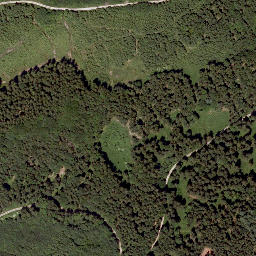 Satellite imagery of Haunsberg, AT