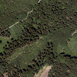 Satellite imagery of Haunsberg, AT