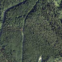 Satellite imagery of Schwarzenberg, AT