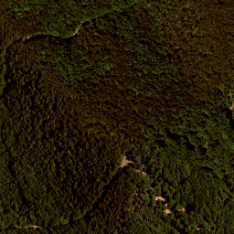 Satellite imagery of survey_point, AT