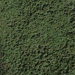 Satellite imagery of Long Ridge, US