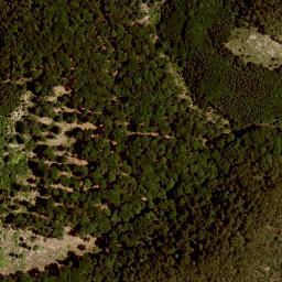 Satellite imagery of Rosenkogel, AT